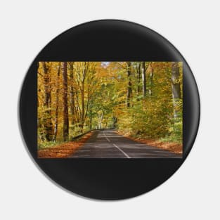 Autumn road Pin