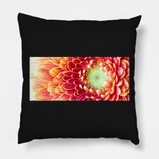 Golden Chysanthemum Pillow