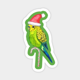 Budgie Christmas style Magnet