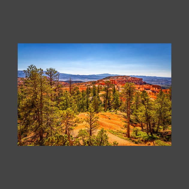 Bryce Canyon National Park by Gestalt Imagery