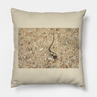 Lizard, Long-nosed Leopard Lizard, Reptiles, Wildlife, Reptilian, Gifts Pillow