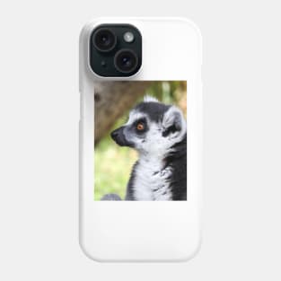 Ring Tailed Lemur Phone Case