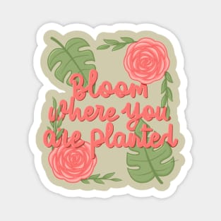 Bloom where youplanted Magnet