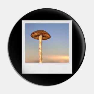 Mushroom Photograph Fungi Shroom Picture Pin