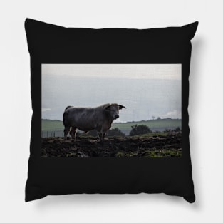 Stance - Margam Bull - 2012 Pillow