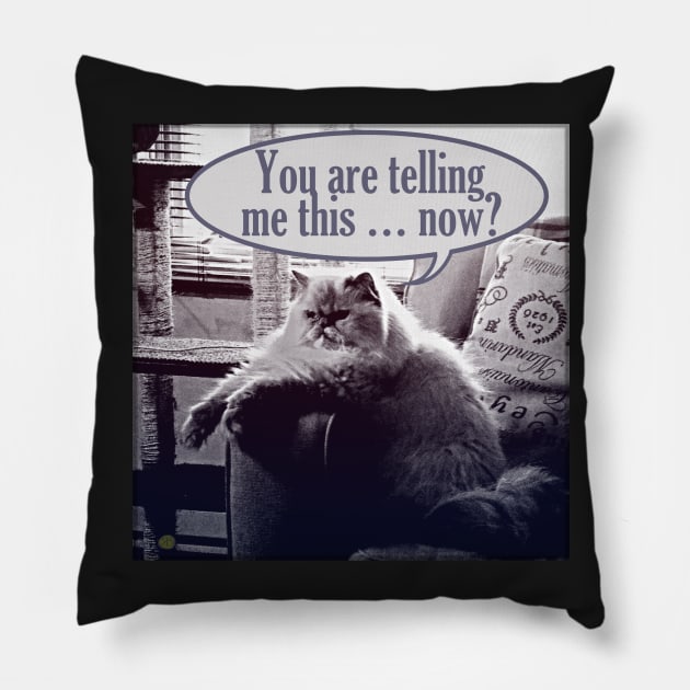 You are telling me this ... now? Pillow by RobertBretonArt