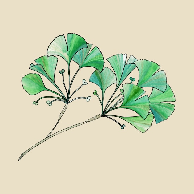 Gingko Branch Watercolor Illustration by Danica Templeton Art