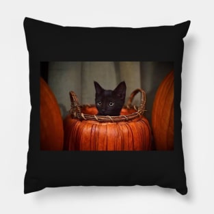 cat in pumpkin Pillow