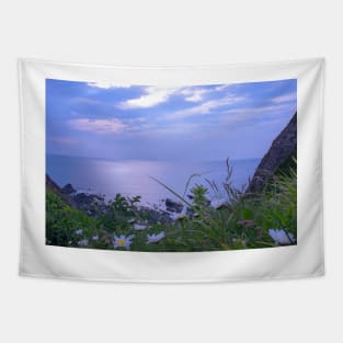 Hartland Devon Coastline Tapestry