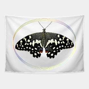 Butterfly - tropical Insect in Kenya / Africa Tapestry