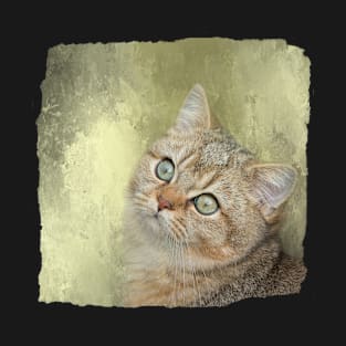 Golden Shaded British Shorthair Cat T-Shirt