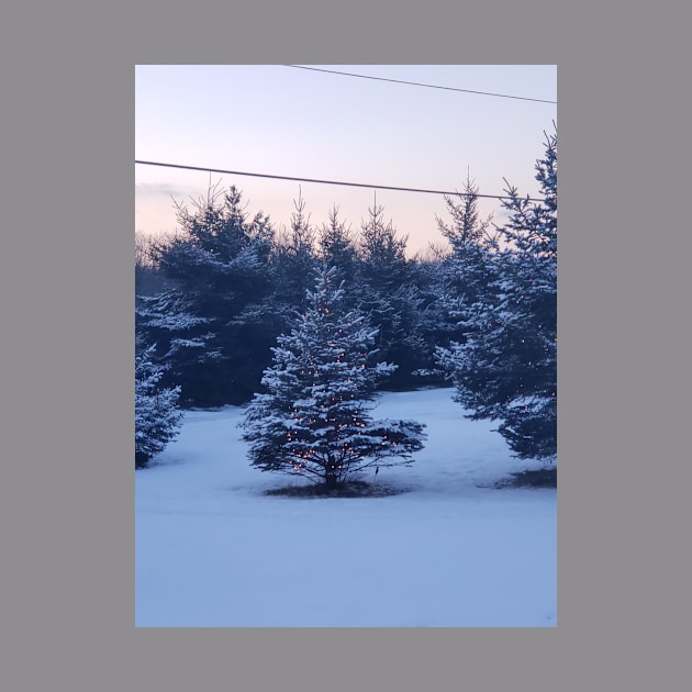 Christmas tree in the snow by MKW716girl