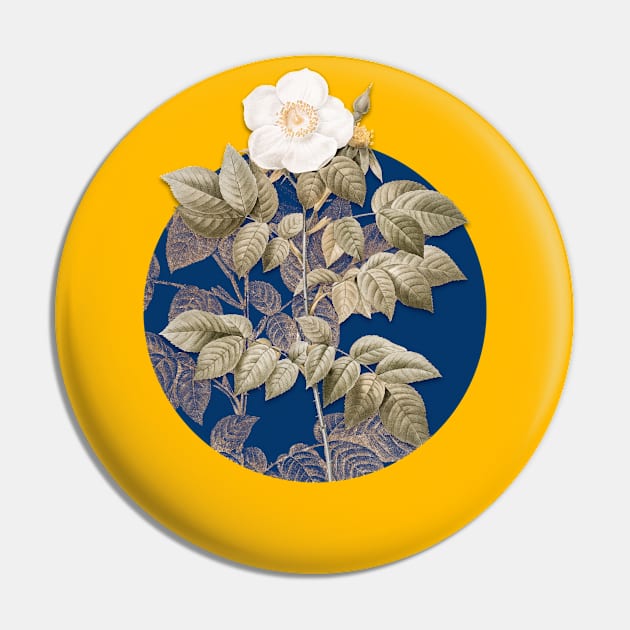 Vintage Blooming Leschenault's Rose Botanical Illustration on Circle Pin by Holy Rock Design