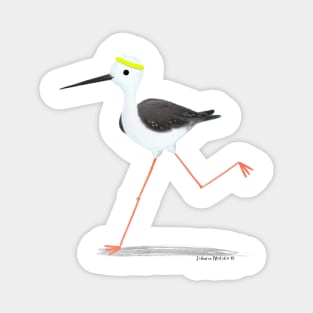 Black Winged Stilt Bird Marathonist Magnet