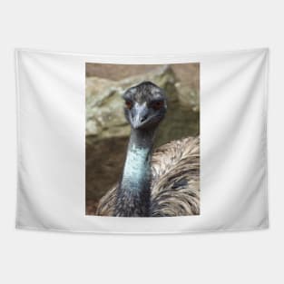 Emu Tapestry