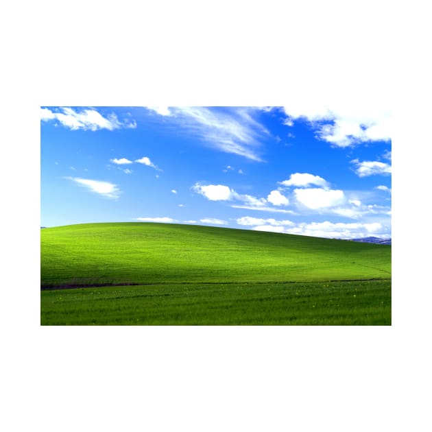 Windows XP Meadow by michaelkdamron