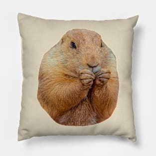 Cute Prairie dog Pillow