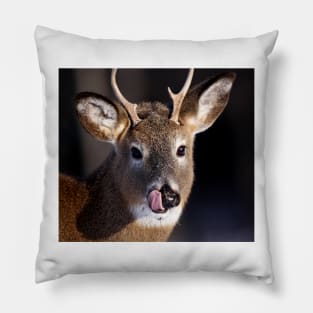 Young Whitetail Buck Pillow