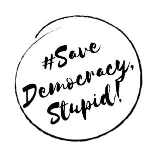 Save Democracy,Stupid!- Stylish Minimalistic Political T-Shirt