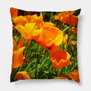 California Poppies Photograph Pillow