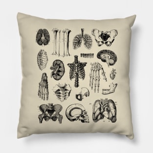 Human Anatomy Pillow