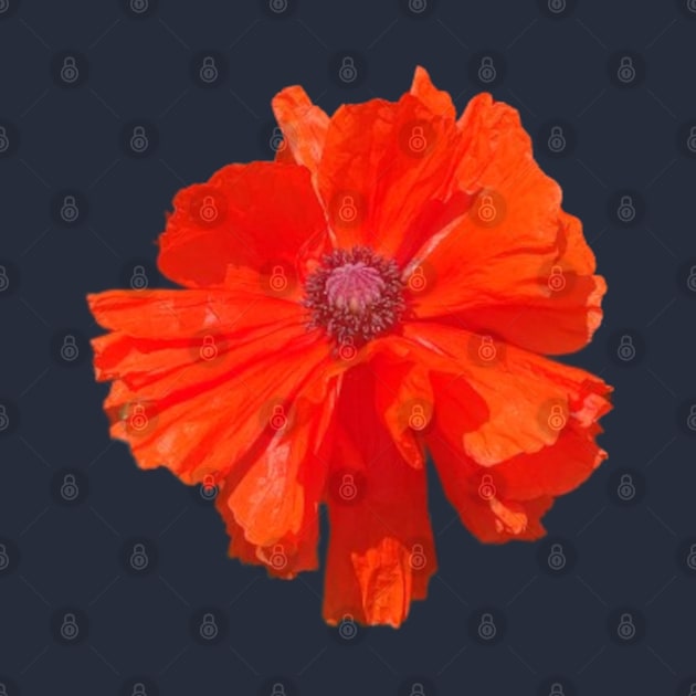 Poppy by bobby t-shirt