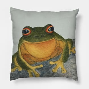 Frog on a rock Pillow