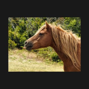 Assateague Pony Blowing Raspberries T-Shirt