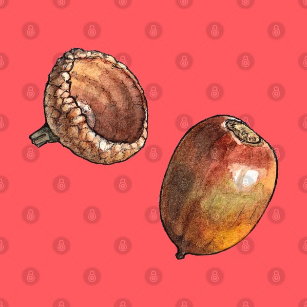 Acorn Watercolor Botanical Illustration by AquarellChill