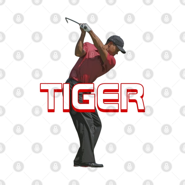 Tiger Woods Swing by YungBick