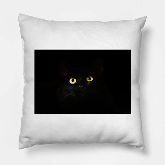 Black Cat in Darkness Pillow by kawaii_shop