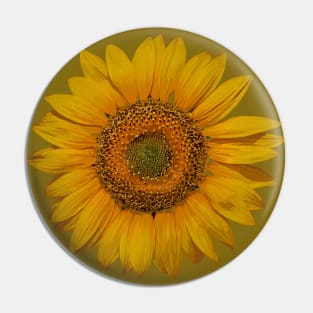 Sunflower 2 Pin