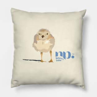 Piping Plover Pillow