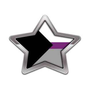 Large Demisexual Pride Flag Colored Star with Chrome Frame T-Shirt