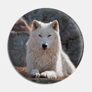 Arctic Wolf Pin