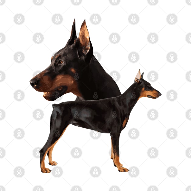 Dobermann - Doberman Pinscher by Nartissima