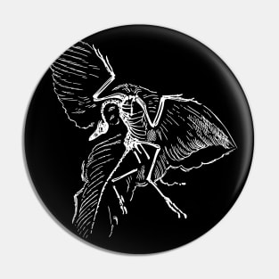 Archaeopteryx Fossil Pin