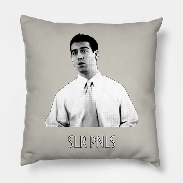 SLR PNLS (Solar Panels) Pillow by MovieFunTime