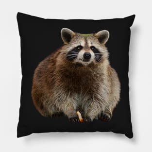 Fat Raccoon Pillow