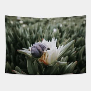 Snail Having Breakfast in Californian Yellow Flower Photo V7 Tapestry