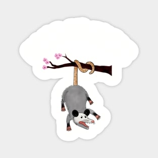 Weird and Funny Opossum Design that Says Hang in There, Possum Hanging From Tree, Retro Humor, Anxiety Possum Unique Magnet