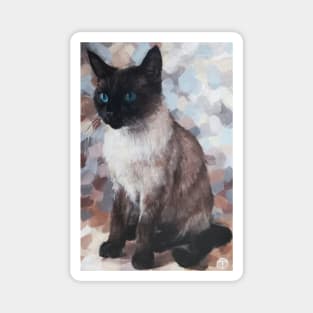 SIAMESE CAT, Siamese cat with blue eyes , Kawaii Animals, New Zealand Animals Magnet