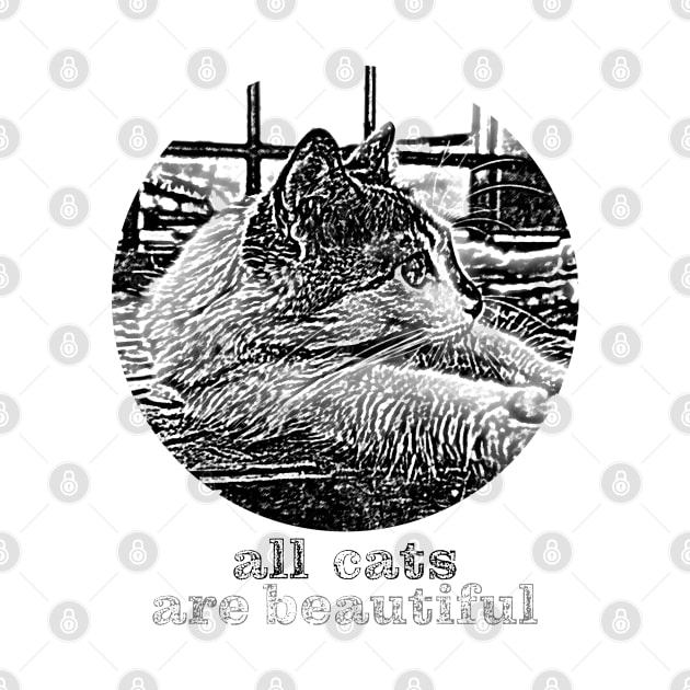 all cats are beautiful by rickylabellevie