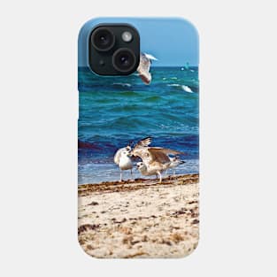 Seagulls screaming Phone Case