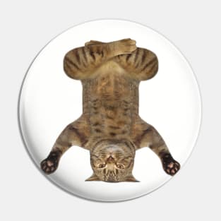 cat yoga Pin