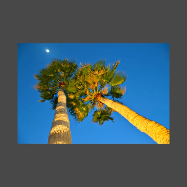 Palm Trees at Night by Spindriftdesigns