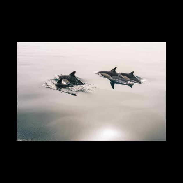 Dolphin Pod Swimming by Tees_N_Stuff