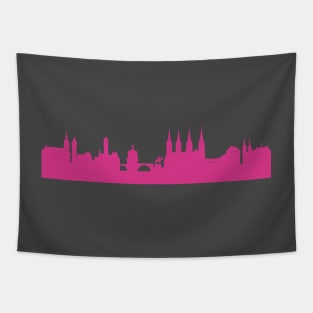 Bamberg skyline pink Tapestry