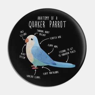 Blue Quaker Anatomy Pin