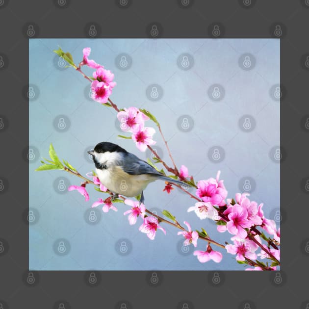 Carolina Chickadee and Peach Blossoms by lauradyoung